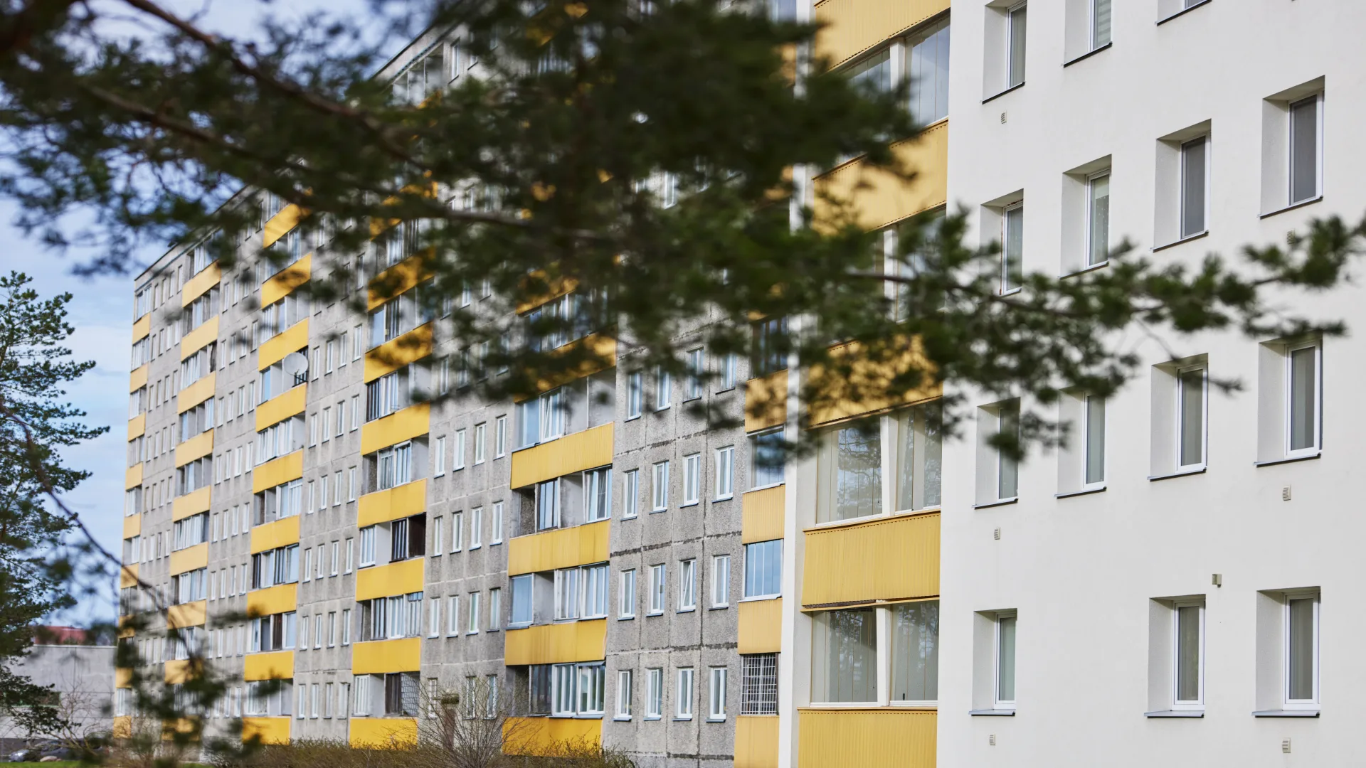 Modern Architectural Building